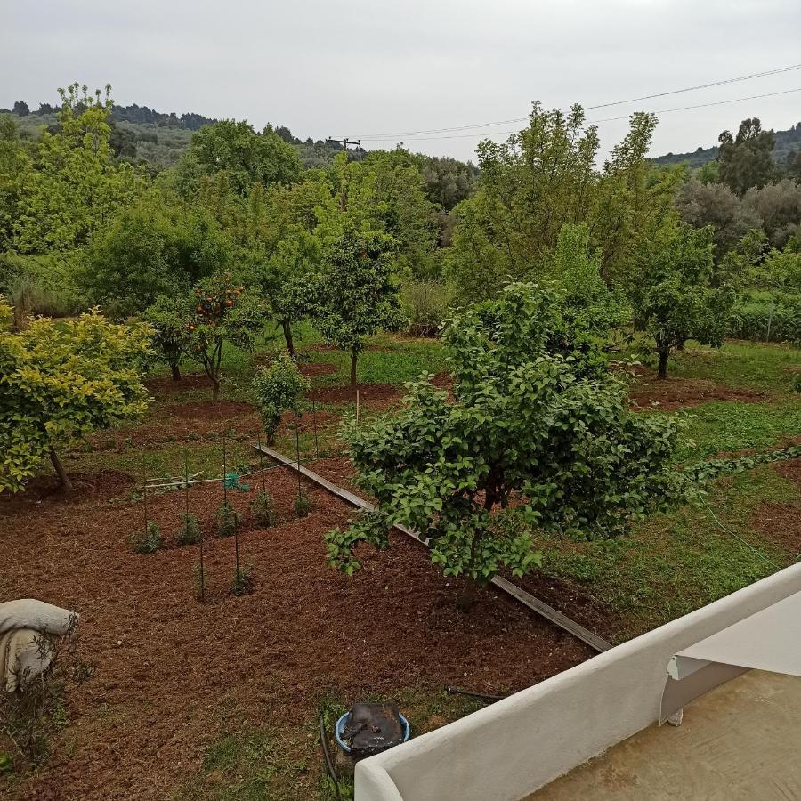 Εξοχική Κατοικία - Cottage Τίνα Líri 외부 사진
